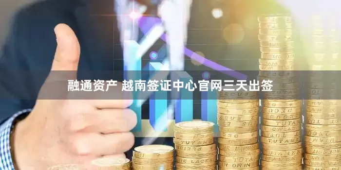 融通资产 越南签证中心官网三天出签